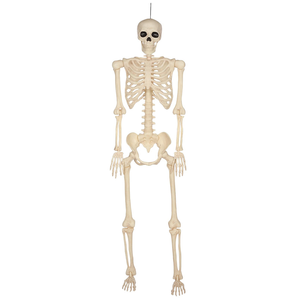 5 Ft Life-Size Full Body Skeletons A619