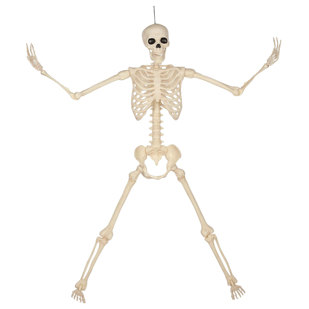 5 Ft Life-Size Full Body Skeletons A619