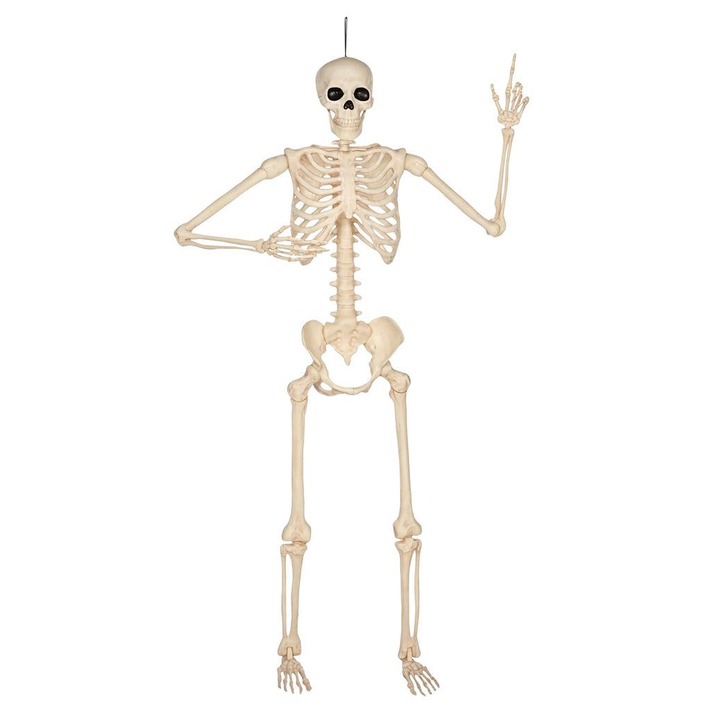 5 Ft Life-Size Full Body Skeletons A619