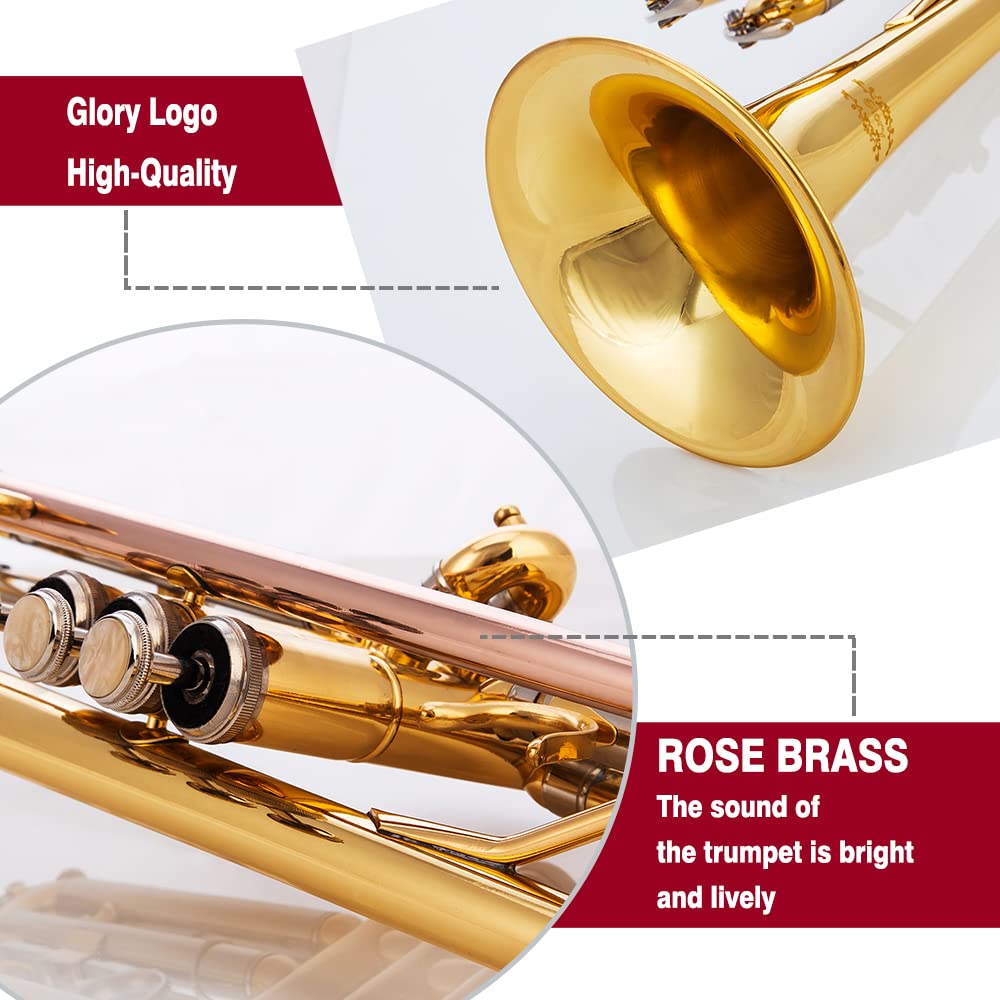 Bb Trumpet with Carrying Case & Gloves L188952