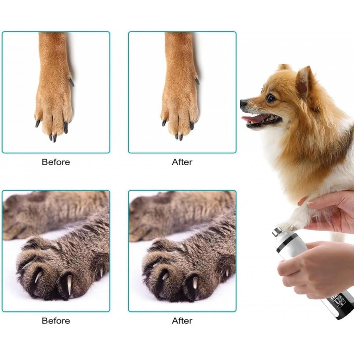 Cordless Pet Nail Grinder with LED Light H1595