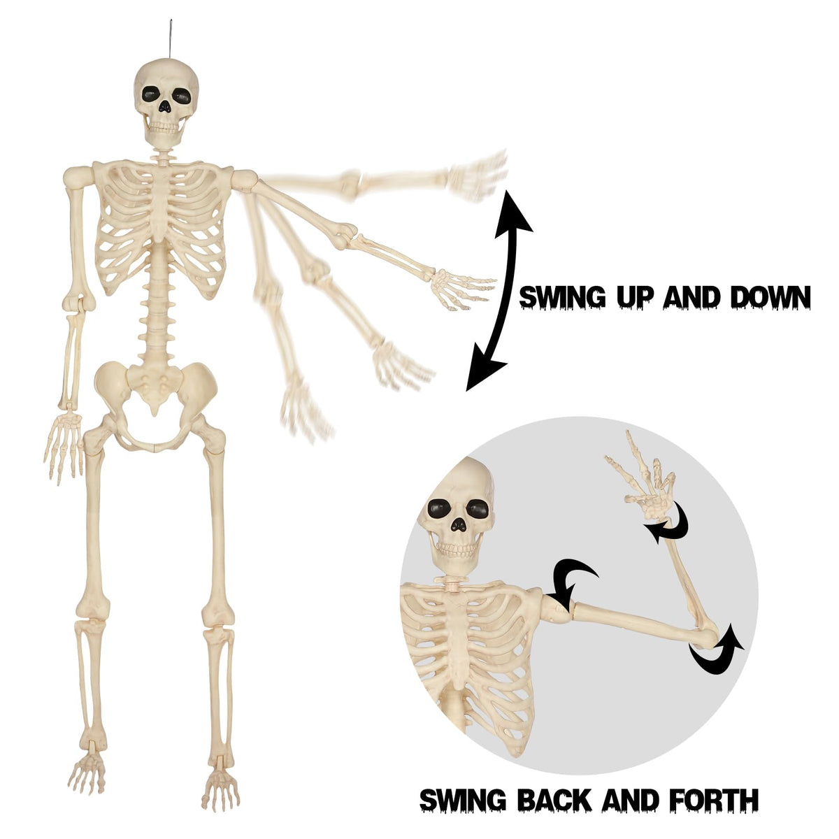5 Ft Life-Size Full Body Skeletons A619