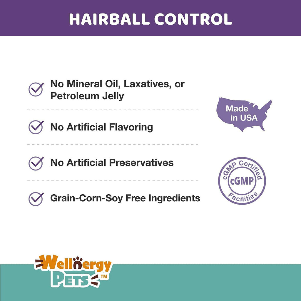 Natural Hairball Control Chews for Cats with Omega 3 6 Fatty Acids 70ct A9620
