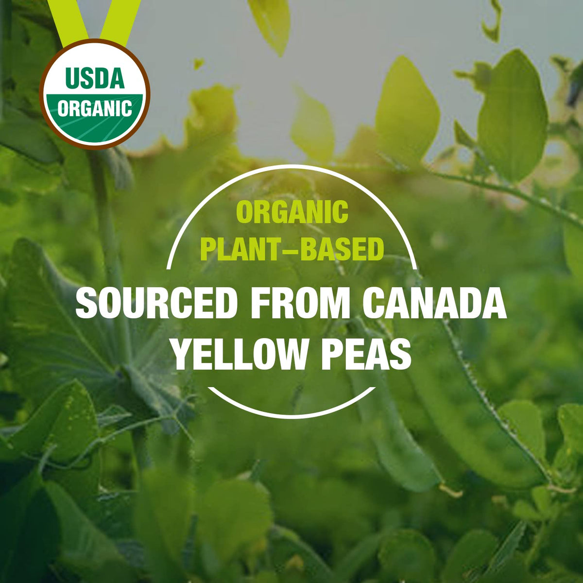 Organic Pea Protein Powder 2.62lbs W916091