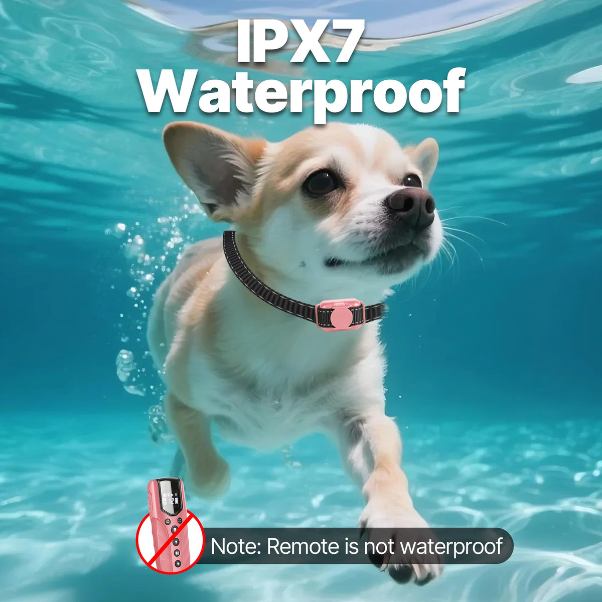 Small Dog Training Collar with Remote, Waterproof Rechargeable, Pink Z1505