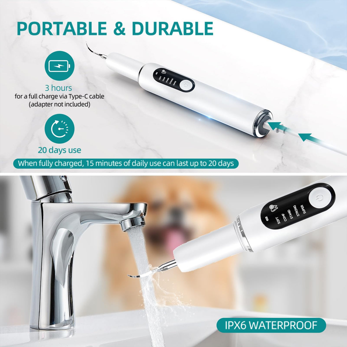 Dog Plaque Remover with LED Light Electric Toothbrush Q649802