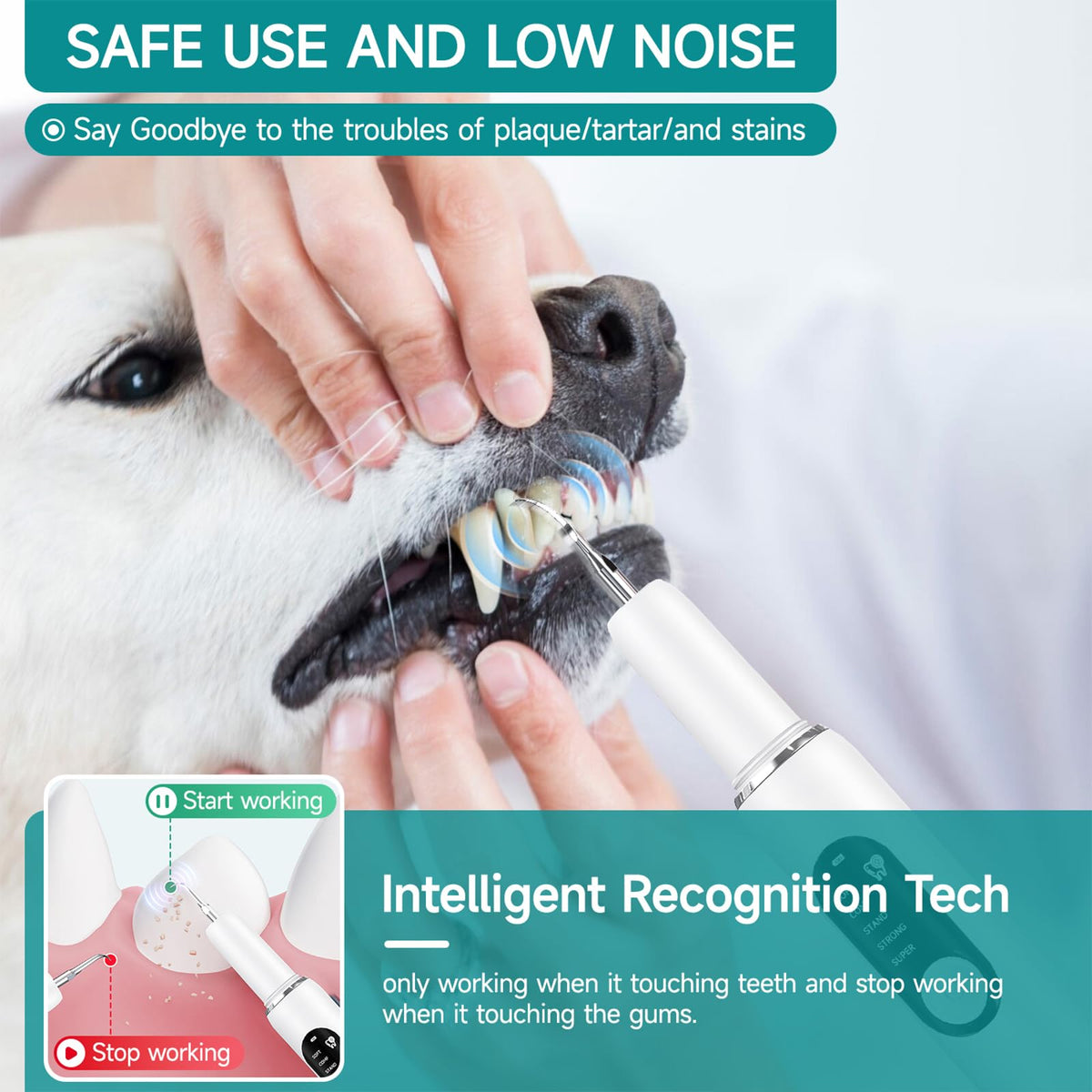 Dog Plaque Remover with LED Light Electric Toothbrush Q649802