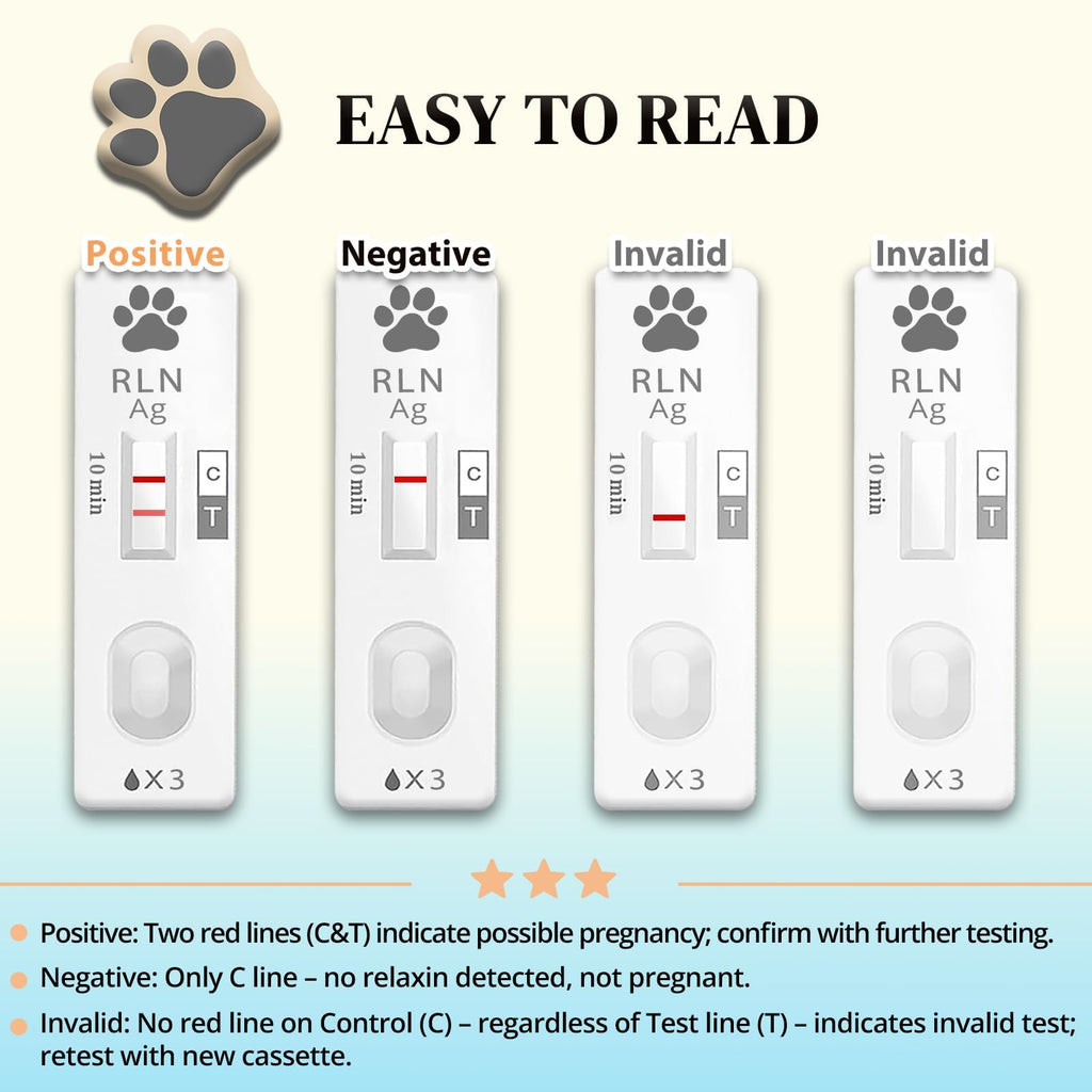 Dog & Cat Pregnancy Test Kit 1 Pack Blood Test Y1670