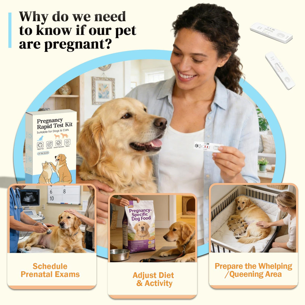 Dog & Cat Pregnancy Test Kit 1 Pack Blood Test Y1670