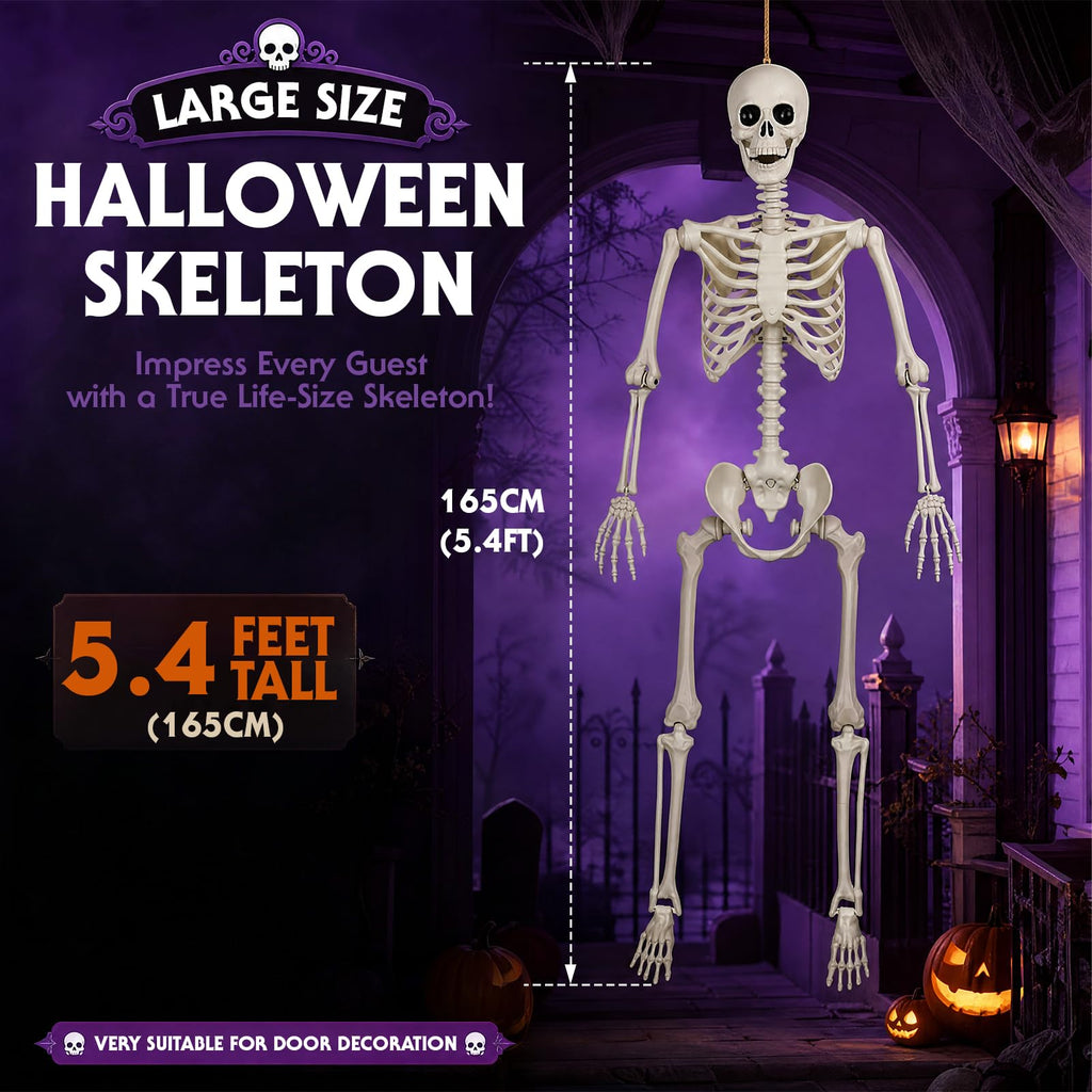 5.4FT Posable Life Size Skeleton (2PCS) H44535