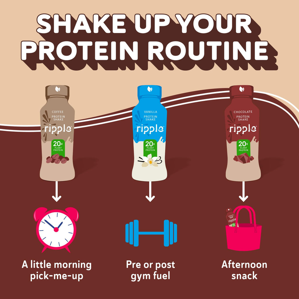 Chocolate Plant Based Protein Shake 20g Pea Protein Vegan Non GMO 12 Fl Oz Bottles Pack of 12 H771837