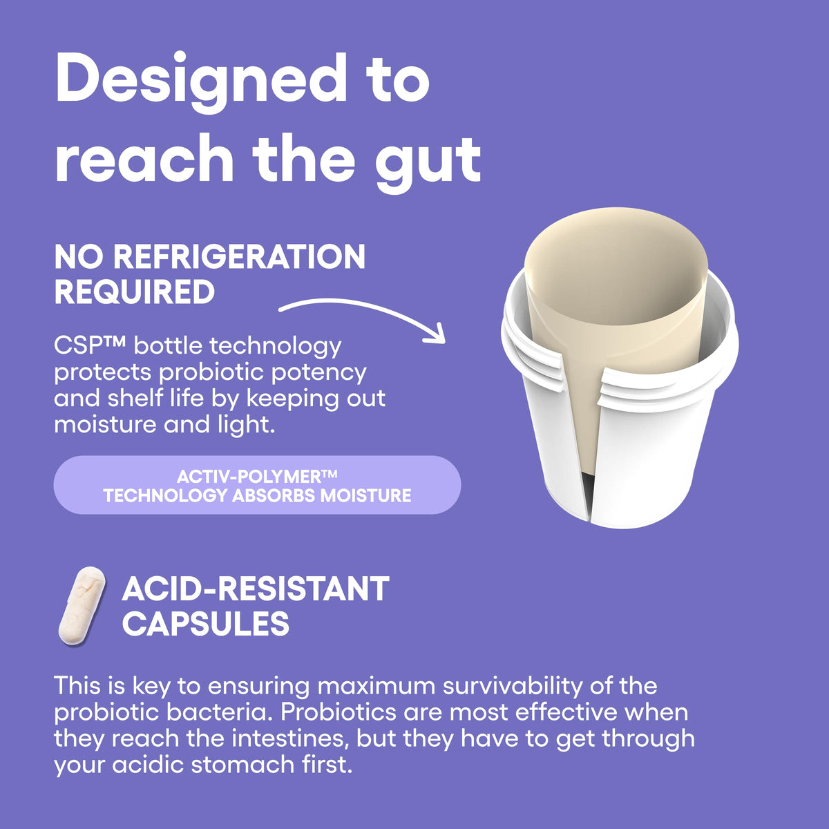 Multi-Strain Prebiotic-Probiotic Z9277