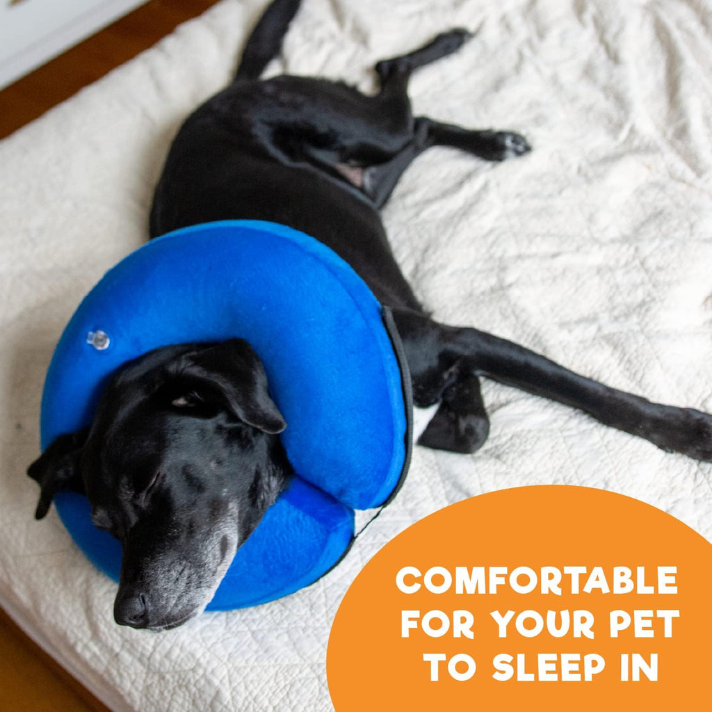 Inflatable Dog Cone Collar Alternative Large Blue G23807