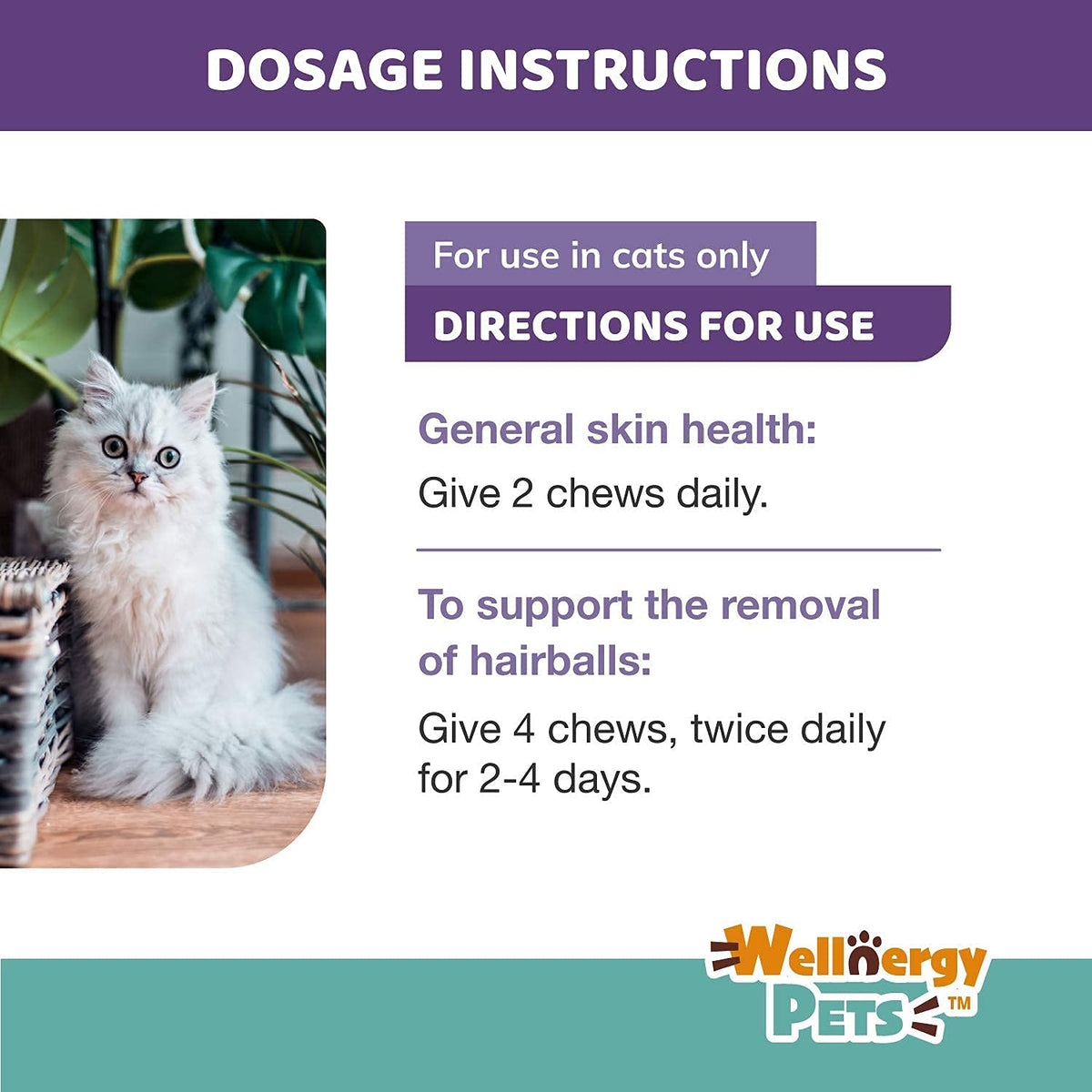 Natural Hairball Control Chews for Cats with Omega 3 6 Fatty Acids 70ct A9620
