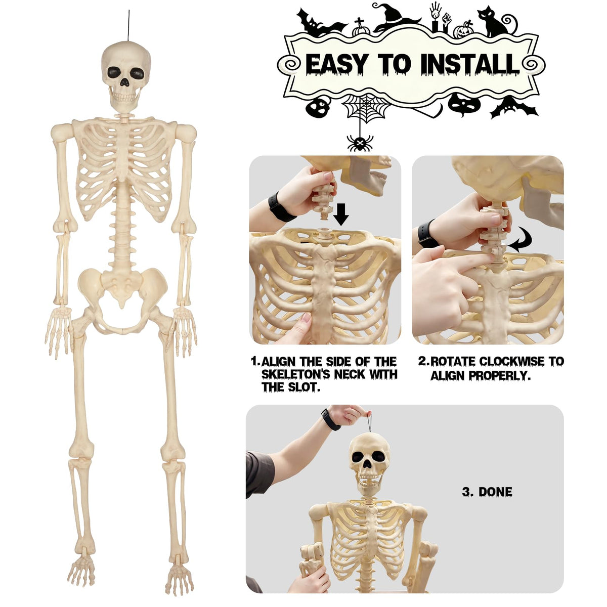 5 Ft Life-Size Full Body Skeletons A619