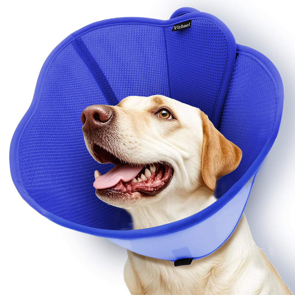 Soft Dog Cone Collar T403