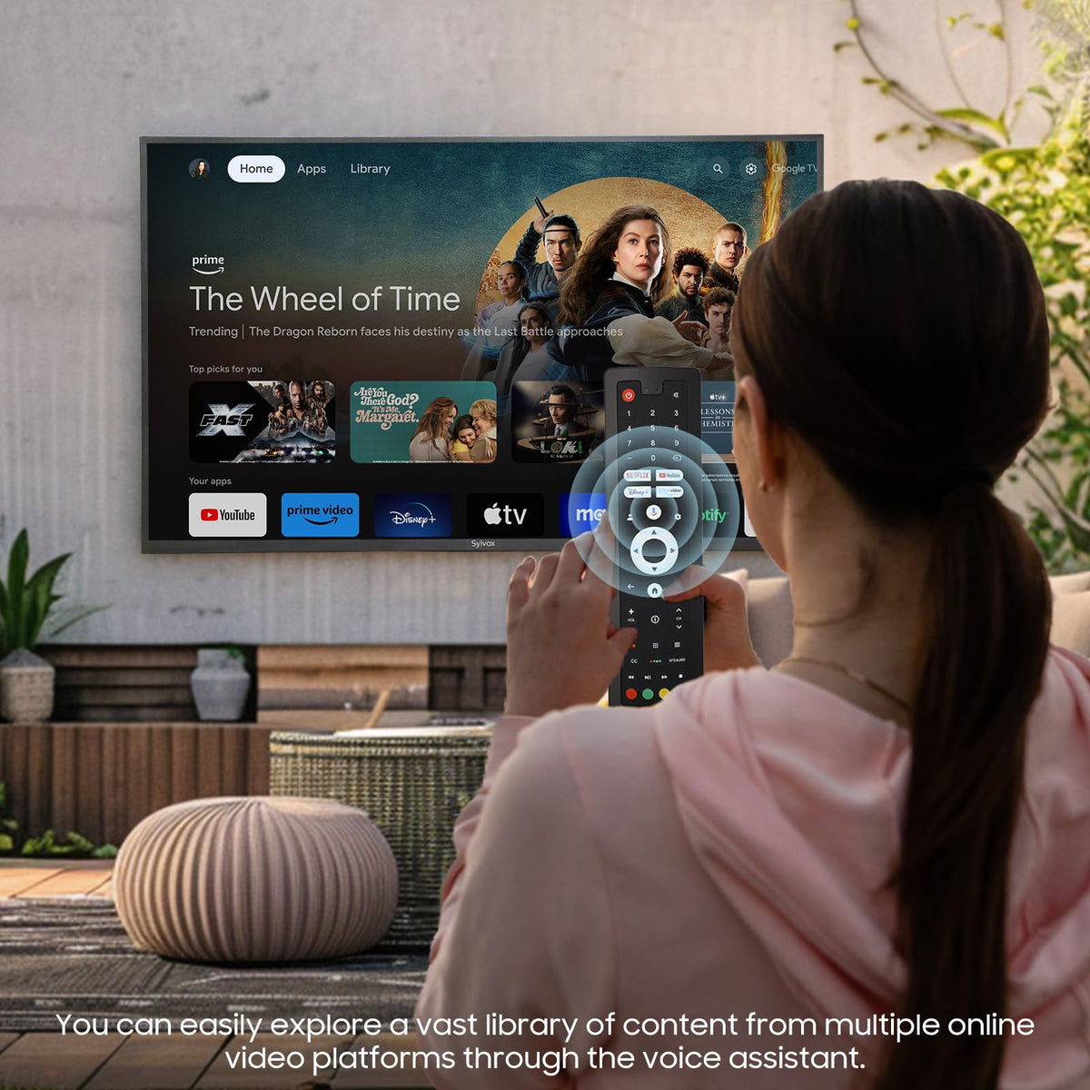 43 Inch Weatherproof IP56 Outdoor TV B3681