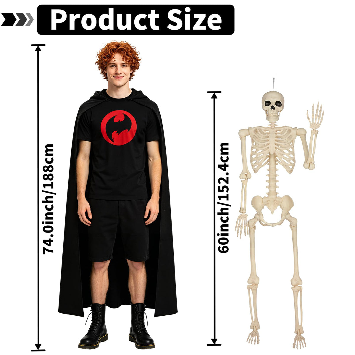 5 Ft Life-Size Full Body Skeletons A619