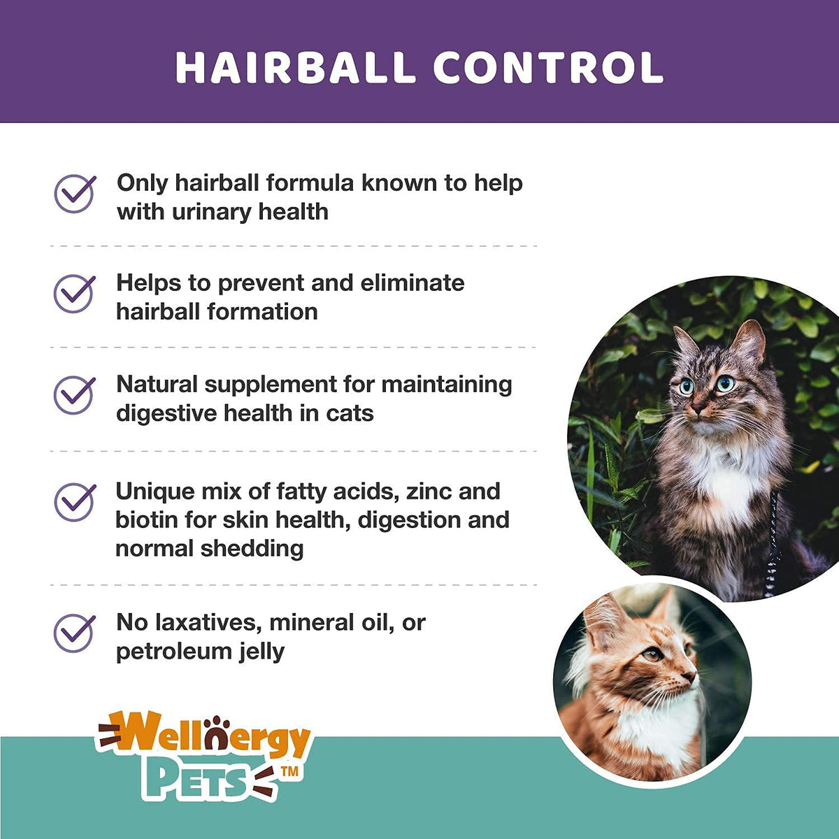 Natural Hairball Control Chews for Cats with Omega 3 6 Fatty Acids 70ct A9620