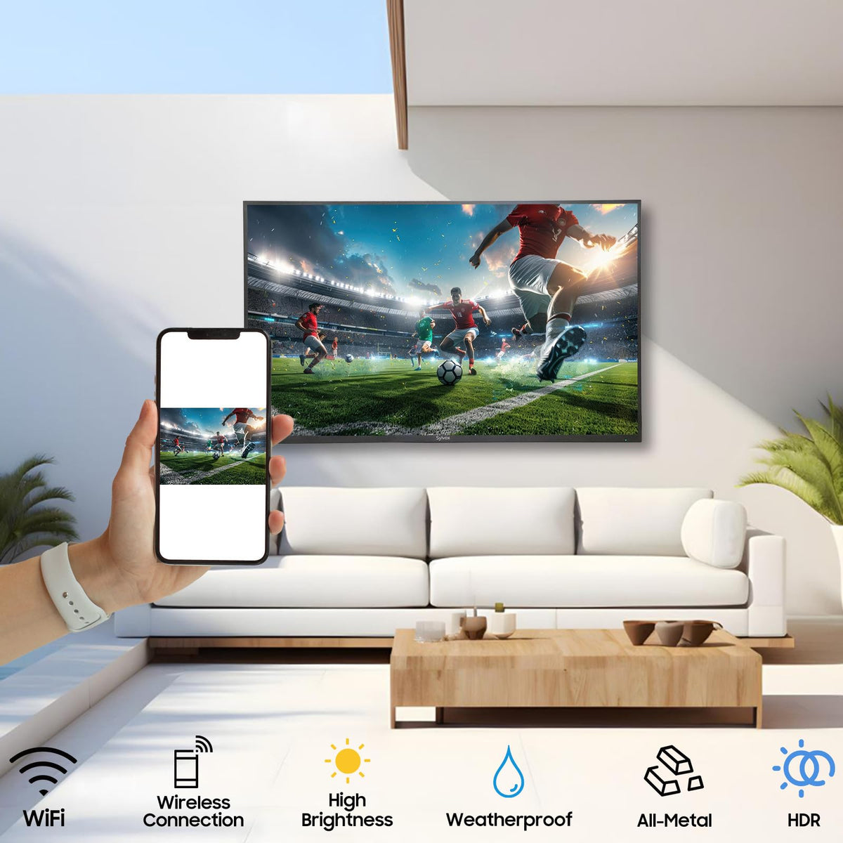 43 Inch Weatherproof IP56 Outdoor TV B3681
