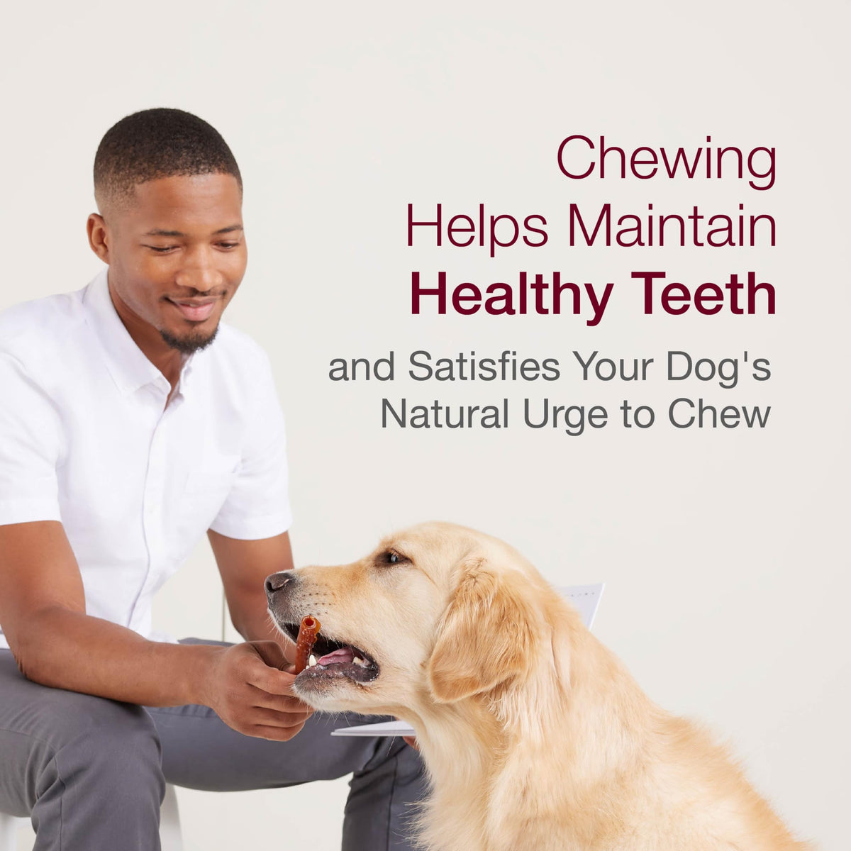 Peanut Butter Rawhide-Free Dog Treats 50 Count G547