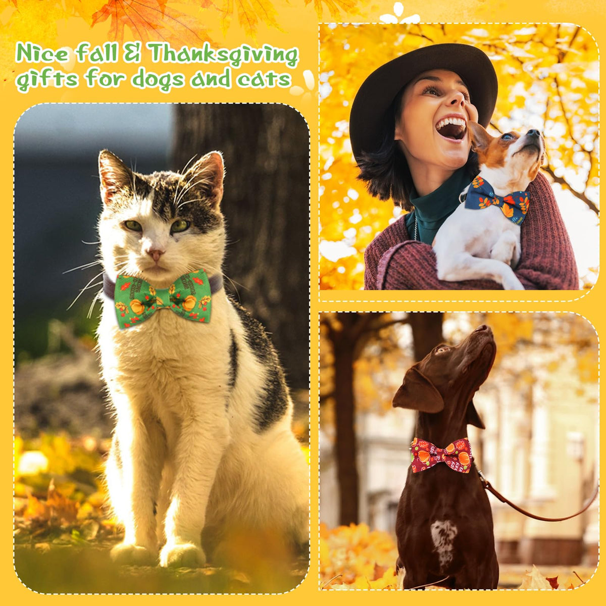 60 Pcs Dog Collar Bow Ties E566904