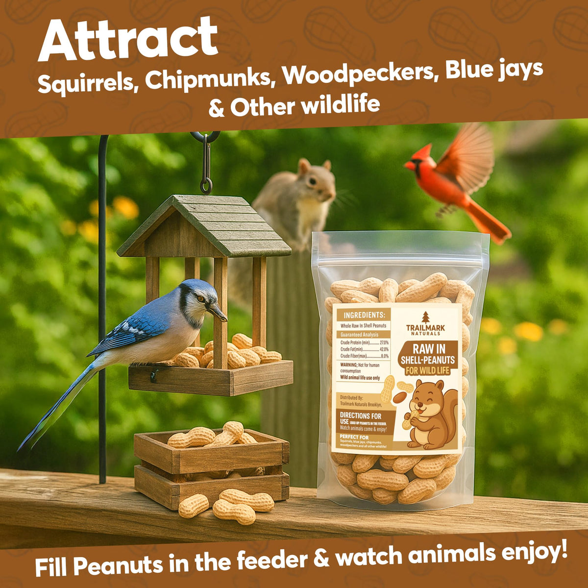 Raw Peanuts in Shell for Squirrels, Birds and Wildlife B6652