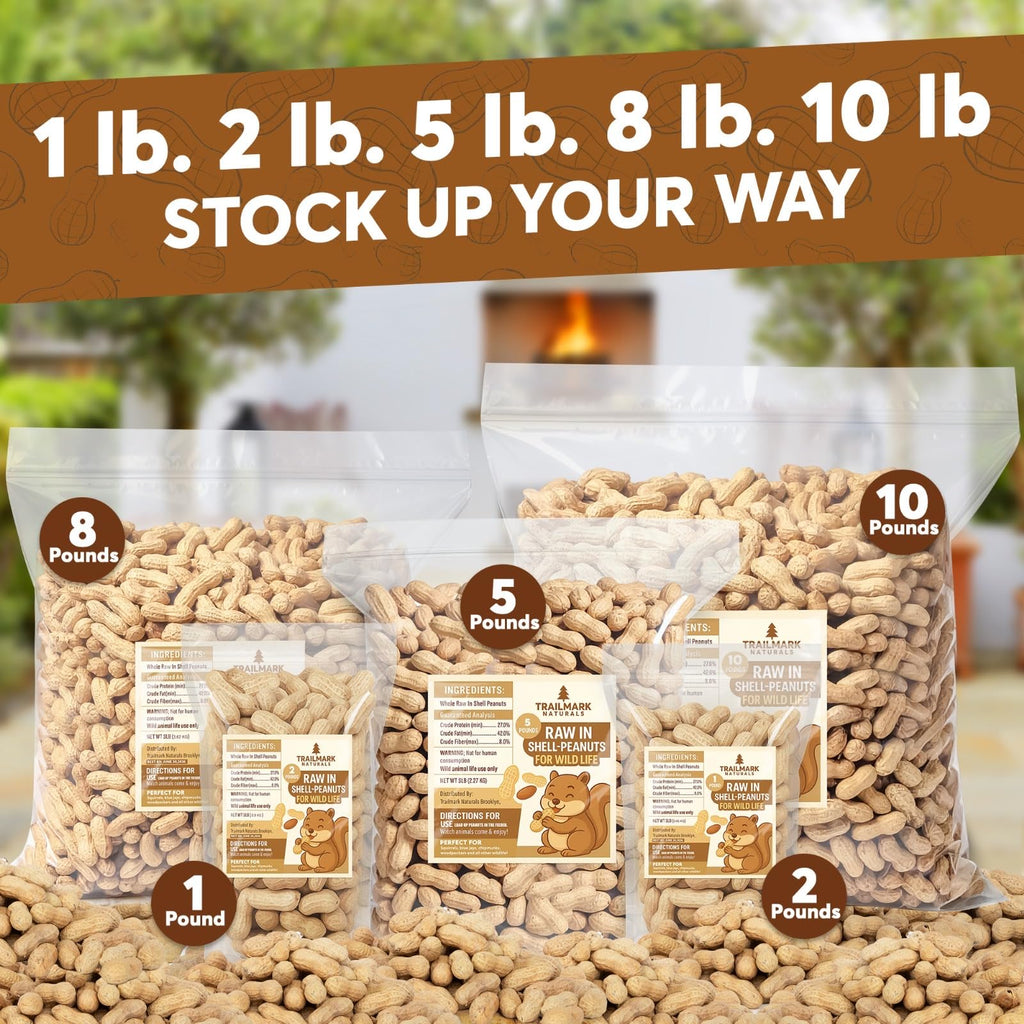 Raw Peanuts in Shell for Squirrels, Birds and Wildlife B6652
