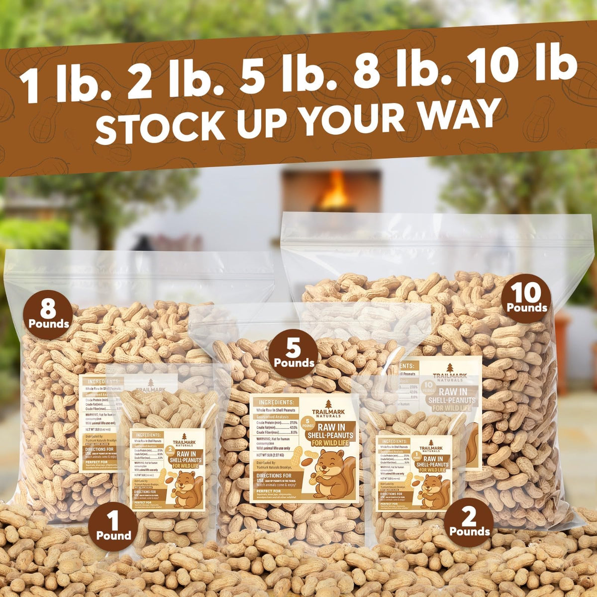 Raw Peanuts in Shell for Squirrels, Birds and Wildlife B6652