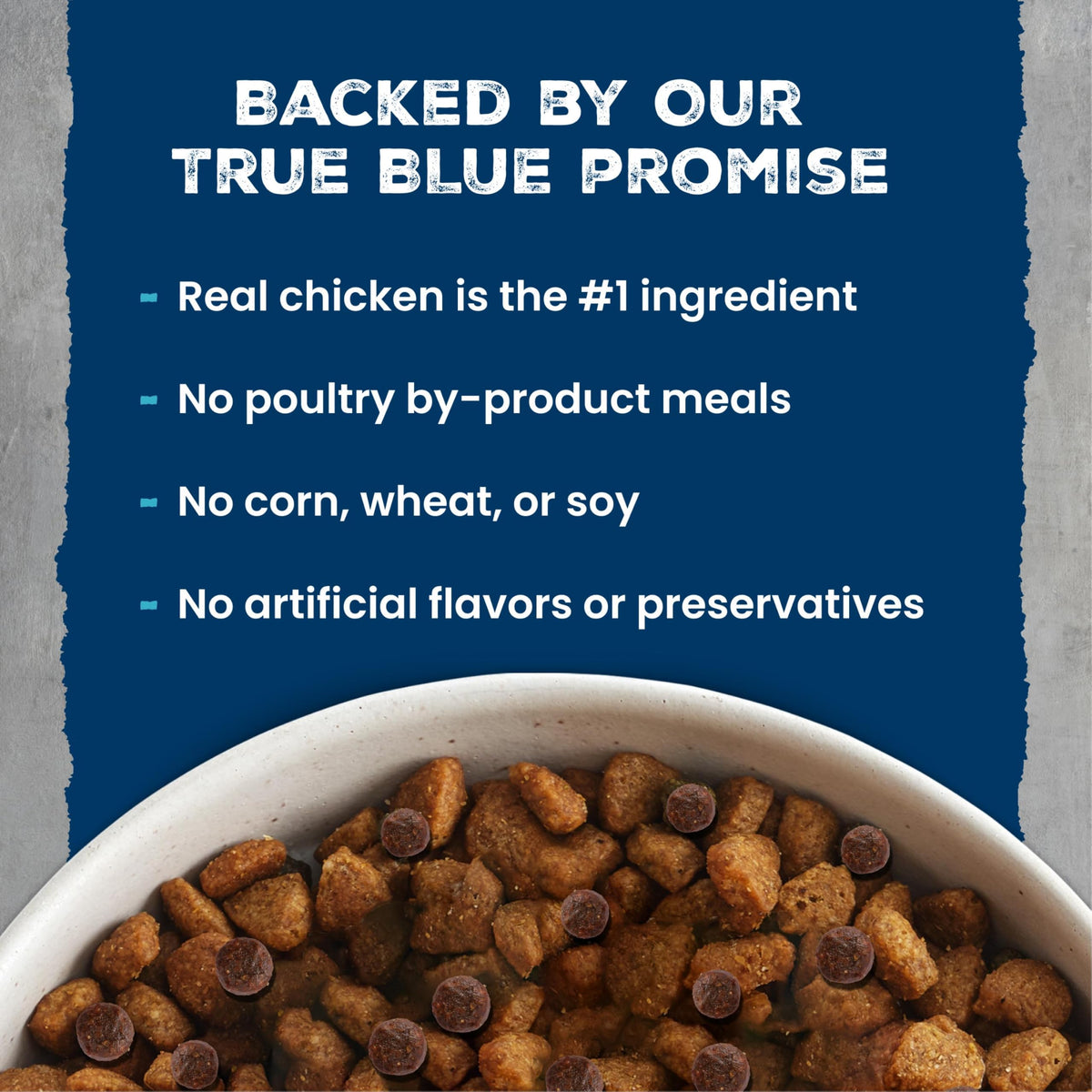 Chicken & Wholesome Grains Adult Dry Dog Food, 28lb F497