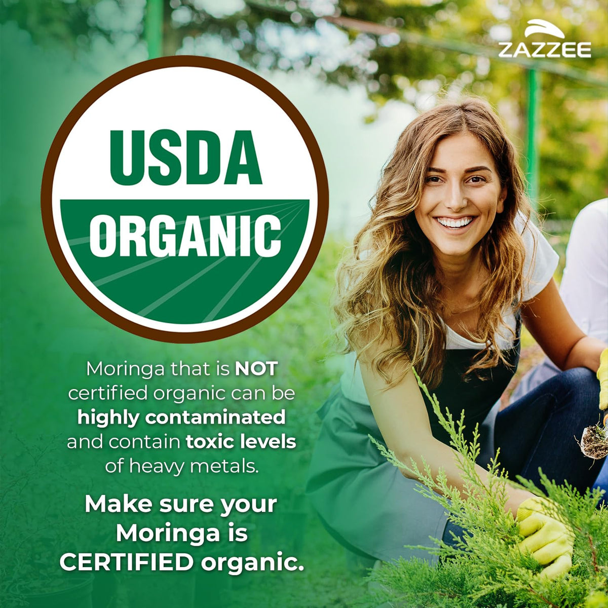 USDA Organic Moringa Leaf 20:1 Extract 120 Vegan Capsules R27949