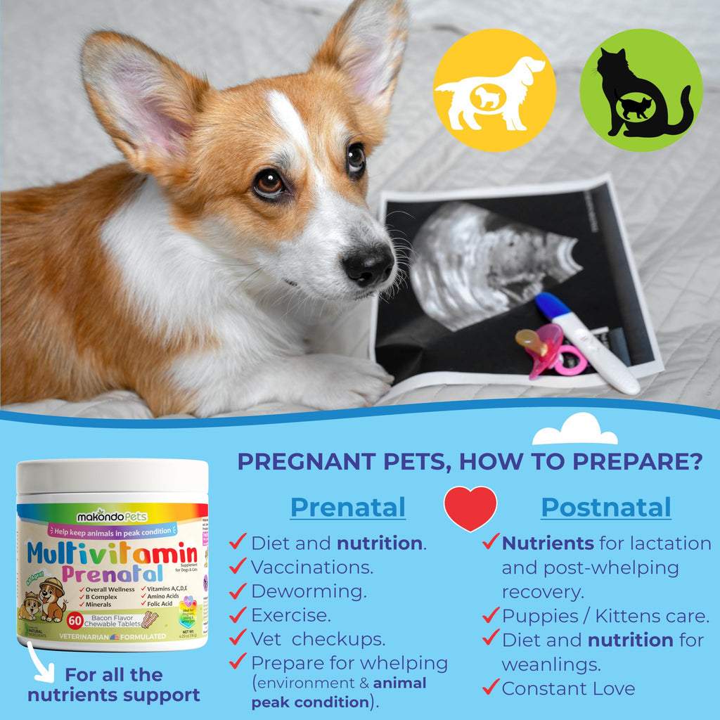 Dog Prenatal Vitamins 60 Tabs Supplement F9235