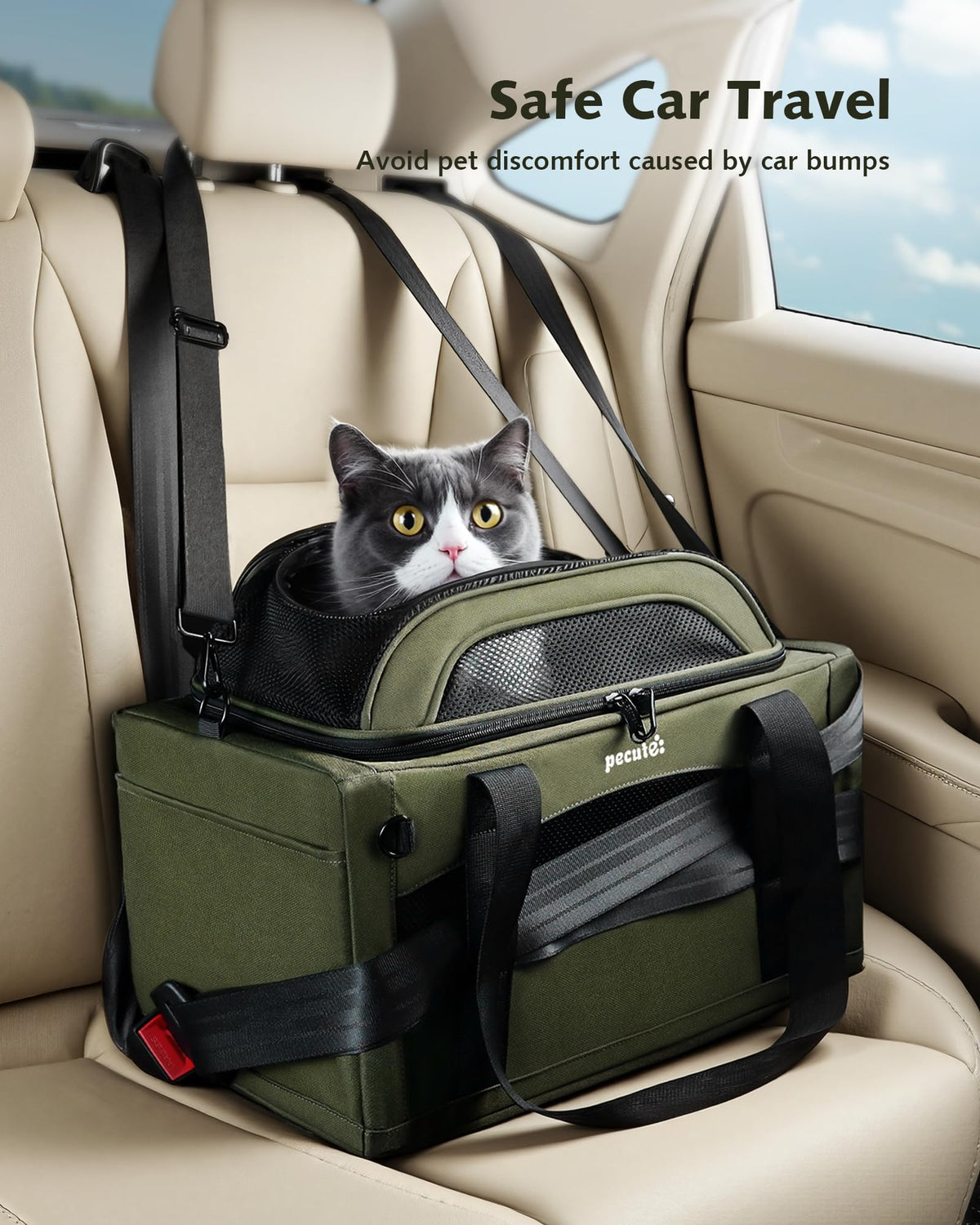 Expandable Airline Approved Pet Carrier W605