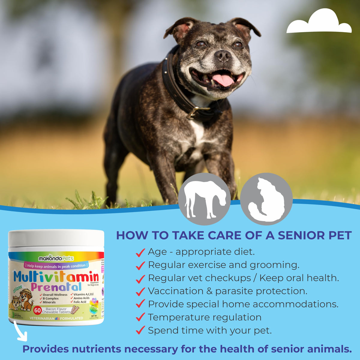 Dog Prenatal Vitamins 60 Tabs Supplement F9235