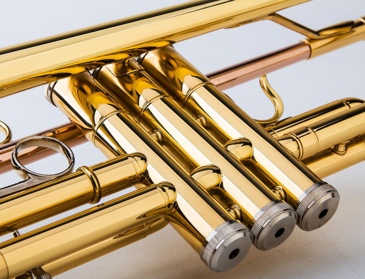 Bb Trumpet with Carrying Case & Gloves L188952