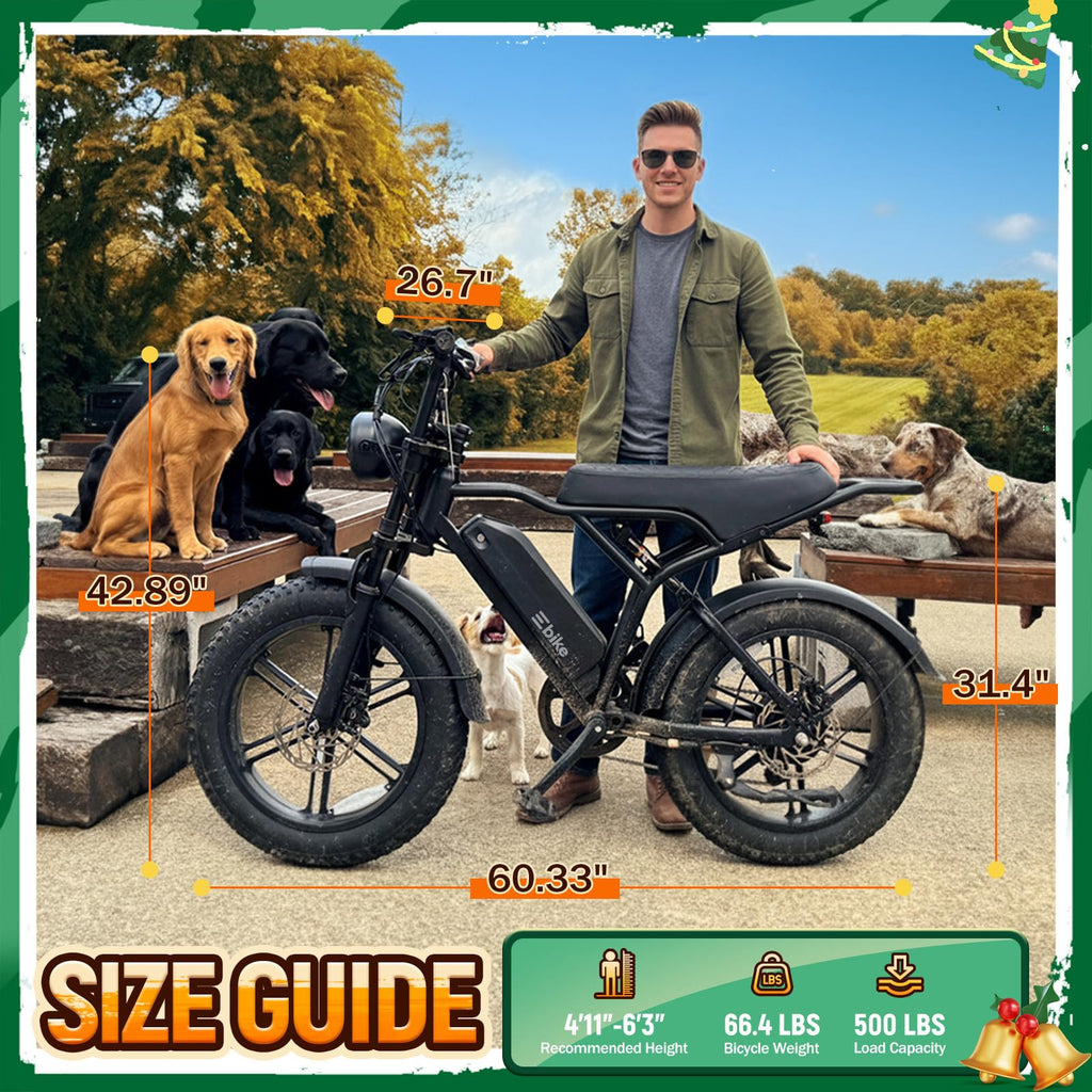 Electric Bike for Adults U570