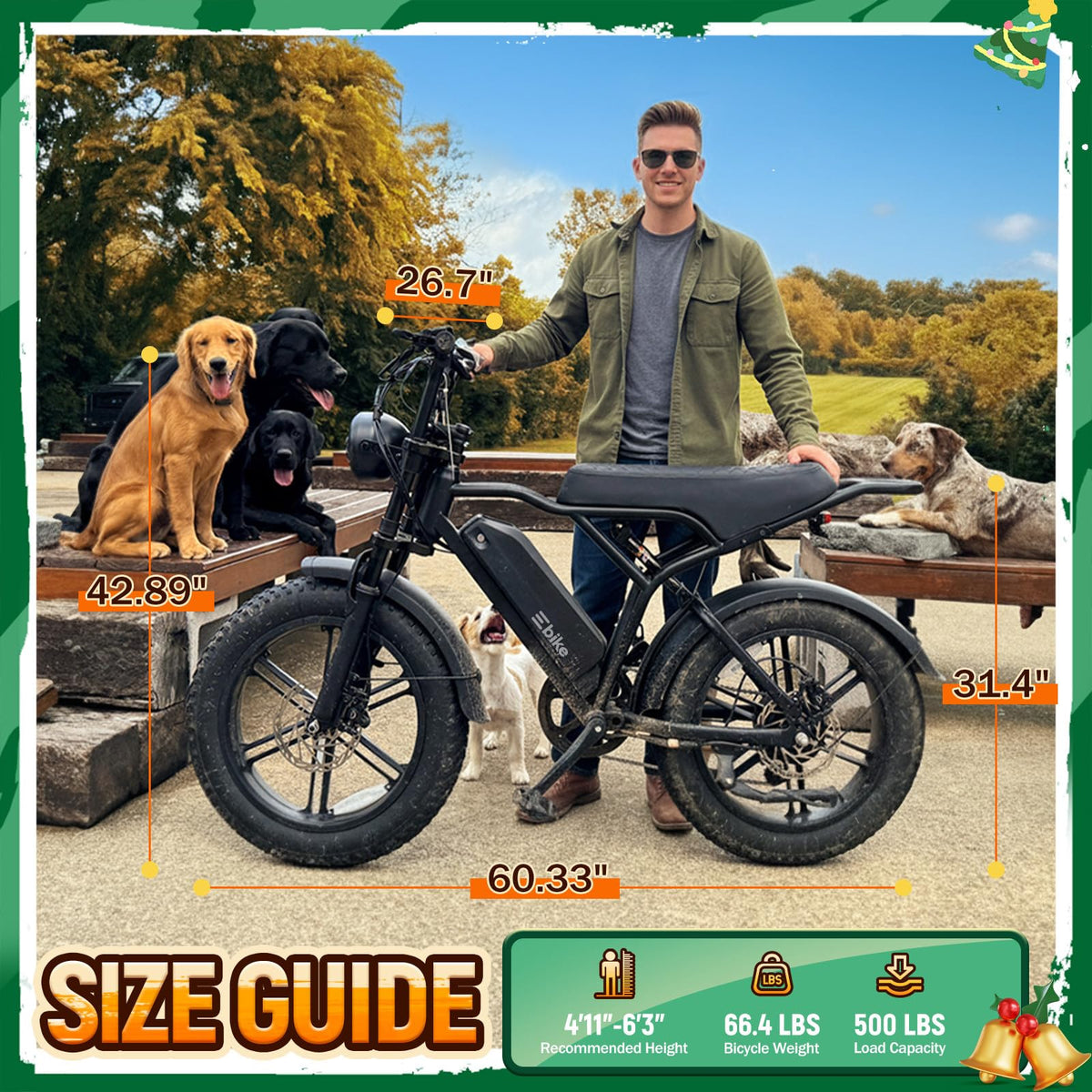 Electric Bike for Adults U570