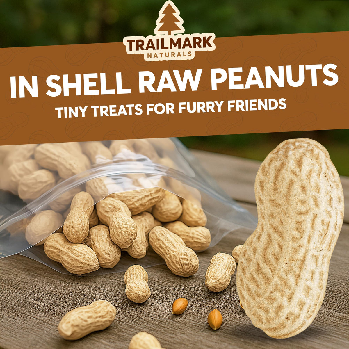 Raw Peanuts in Shell for Squirrels, Birds and Wildlife B6652