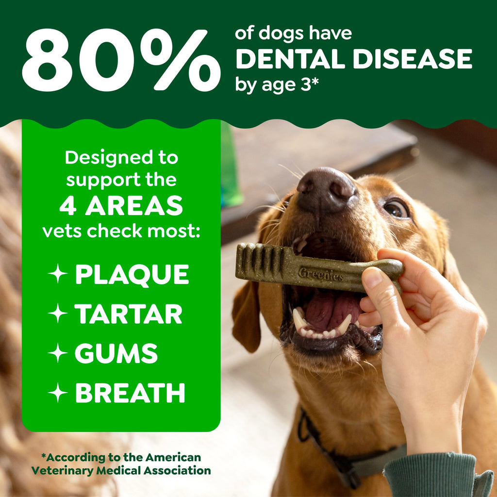 Chicken Dental Dog Treats 43 Count P7948