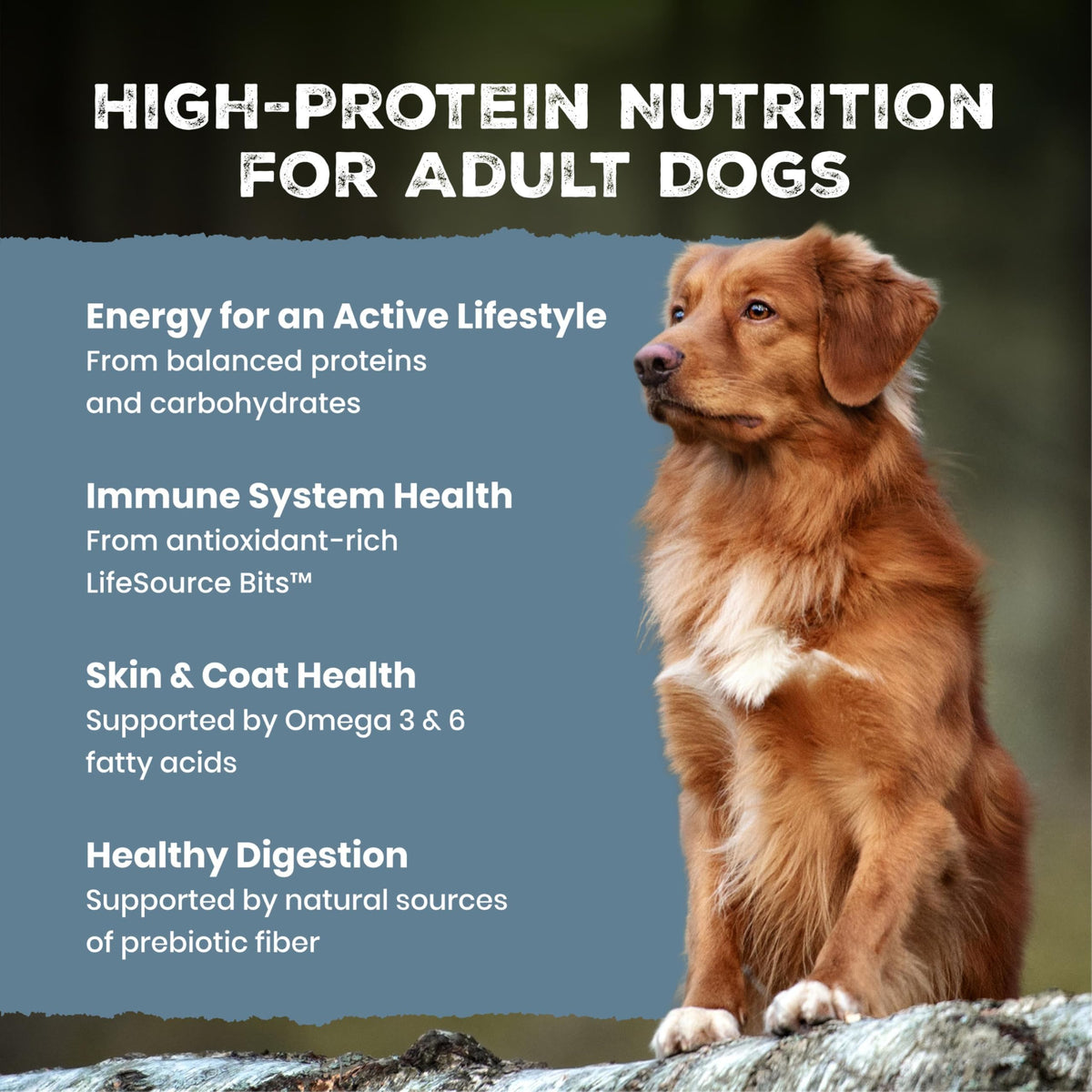 Chicken & Wholesome Grains Adult Dry Dog Food, 28lb F497