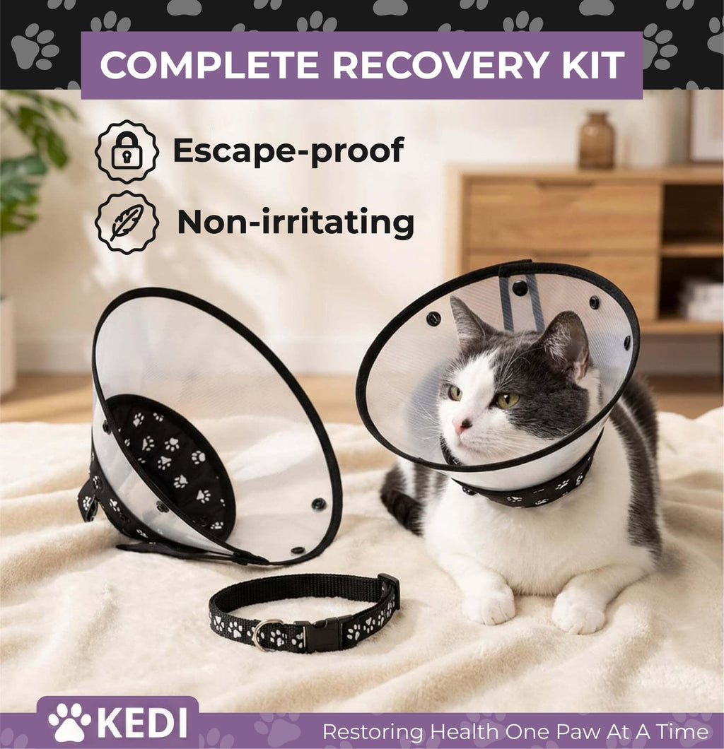 Black Medium Cat Cone Collar M86096