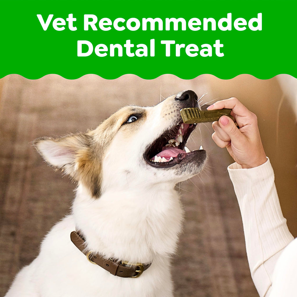 Chicken Dental Dog Treats 43 Count P7948