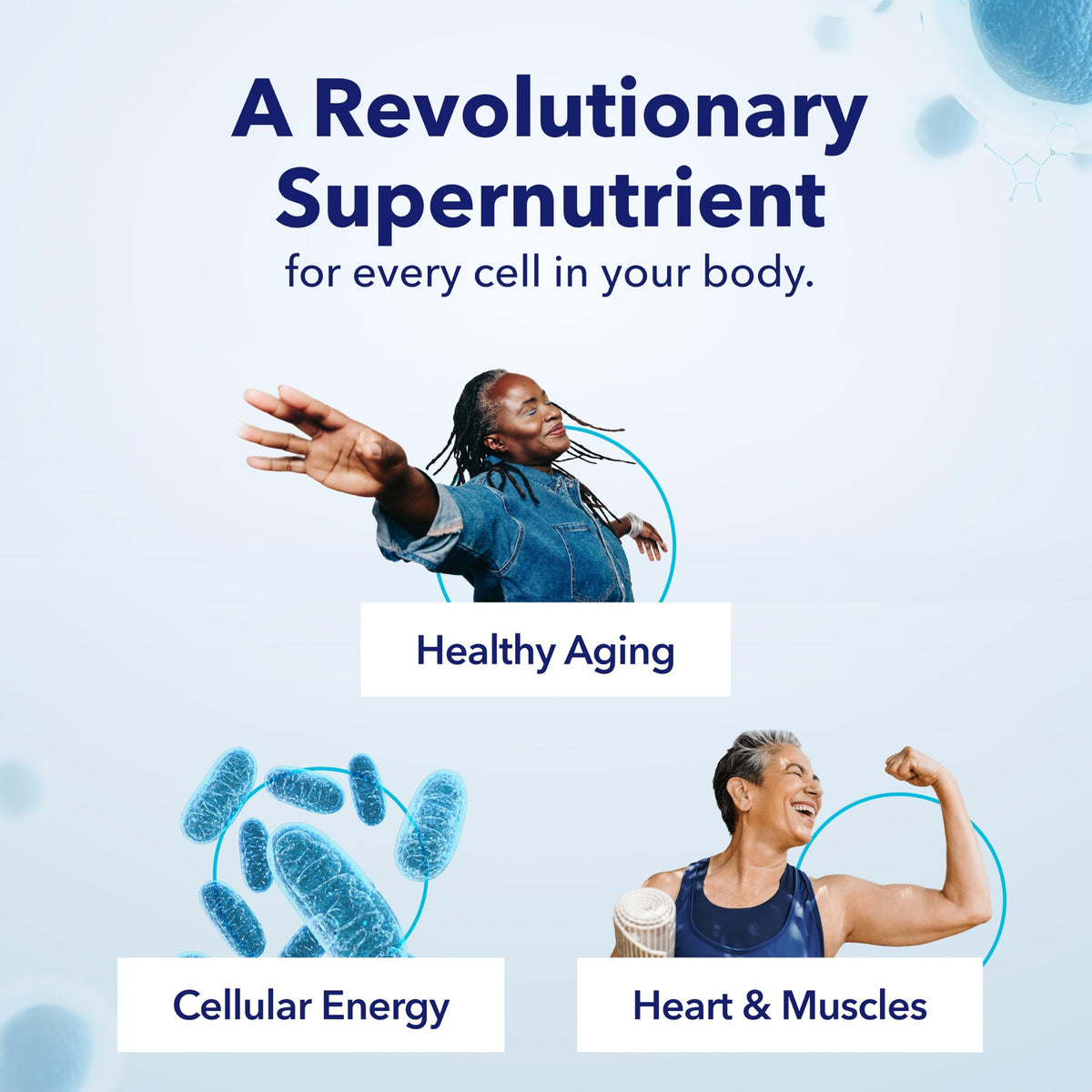 NAD+ Supplement Nicotinamide Riboside 300mg L94709