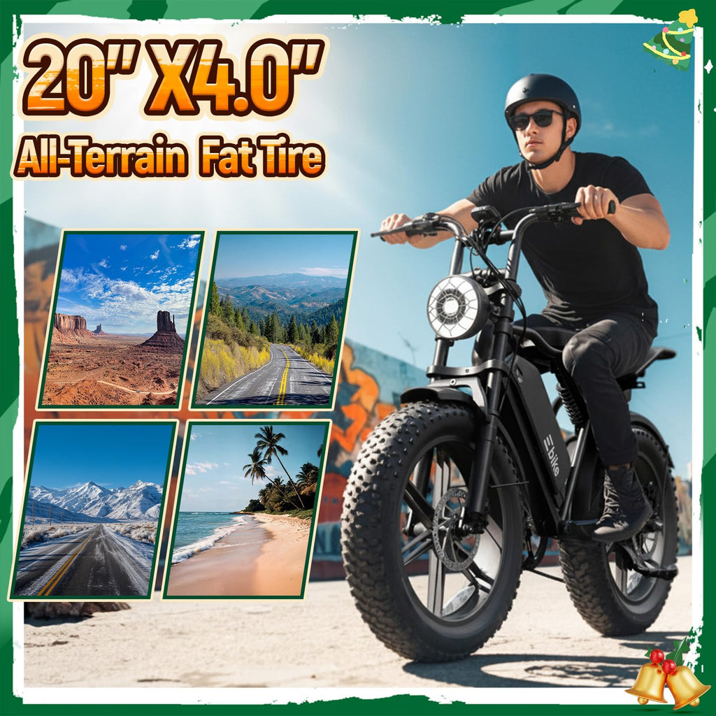 Electric Bike for Adults U570