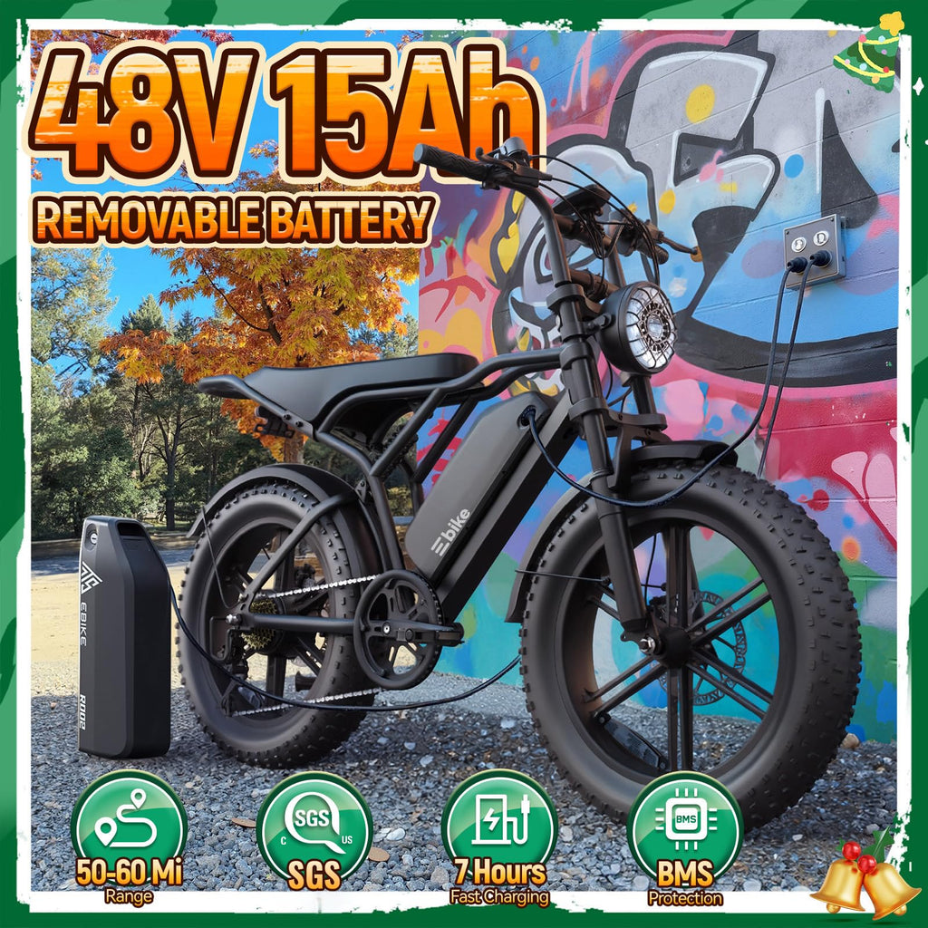 Electric Bike for Adults U570