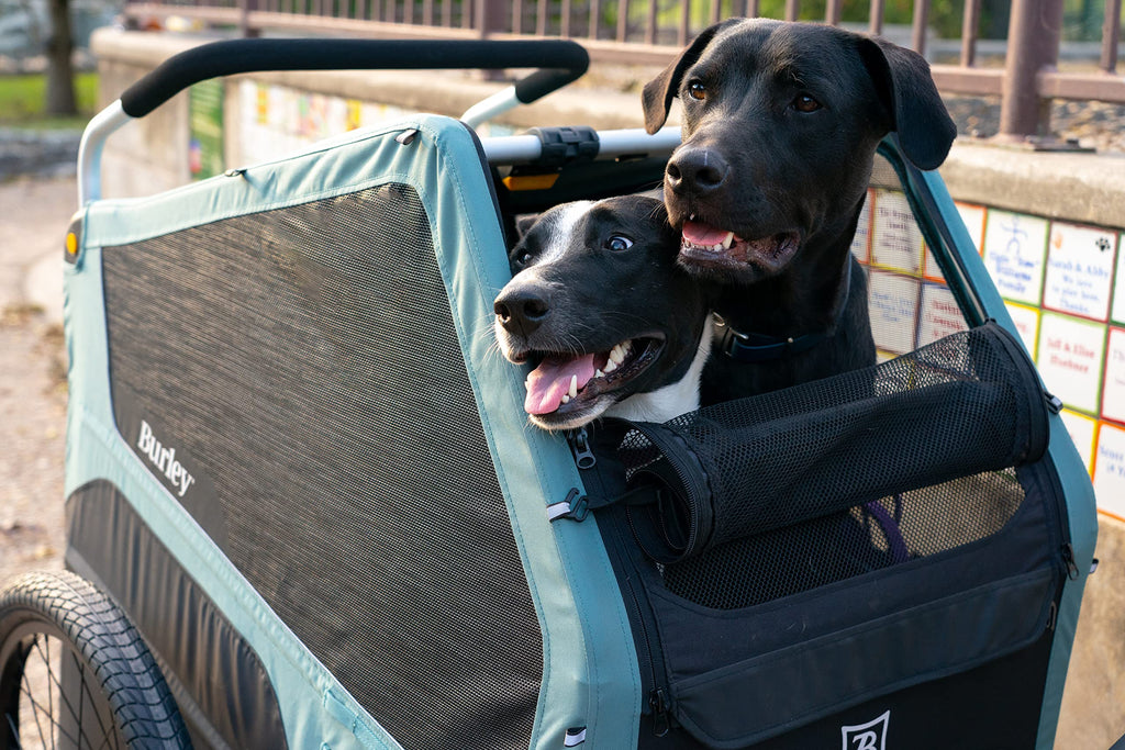 Pet Bike Trailer H680