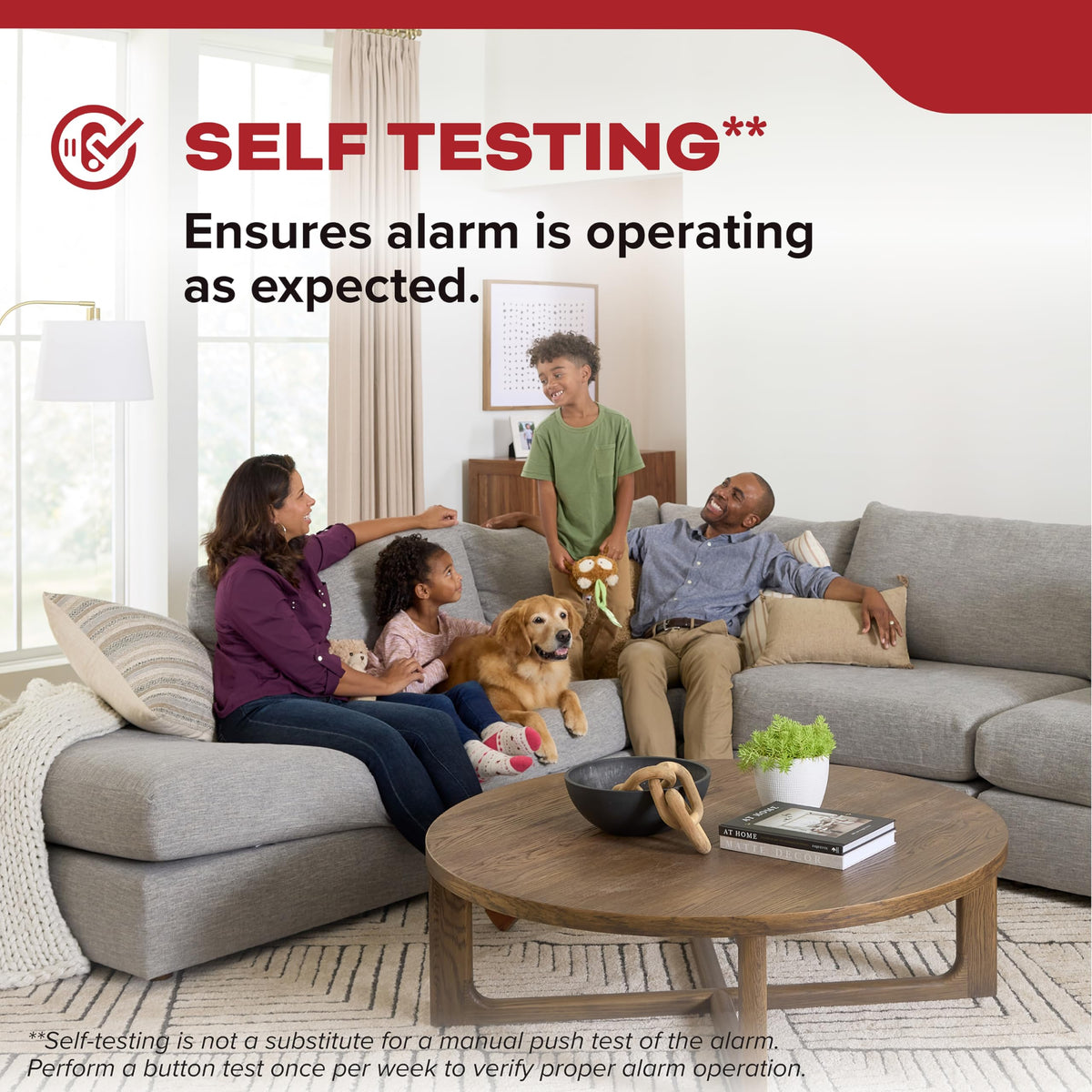 Compact Smoke Detector, AA Battery-Powered F445