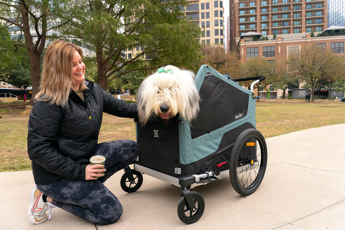 Pet Bike Trailer H680