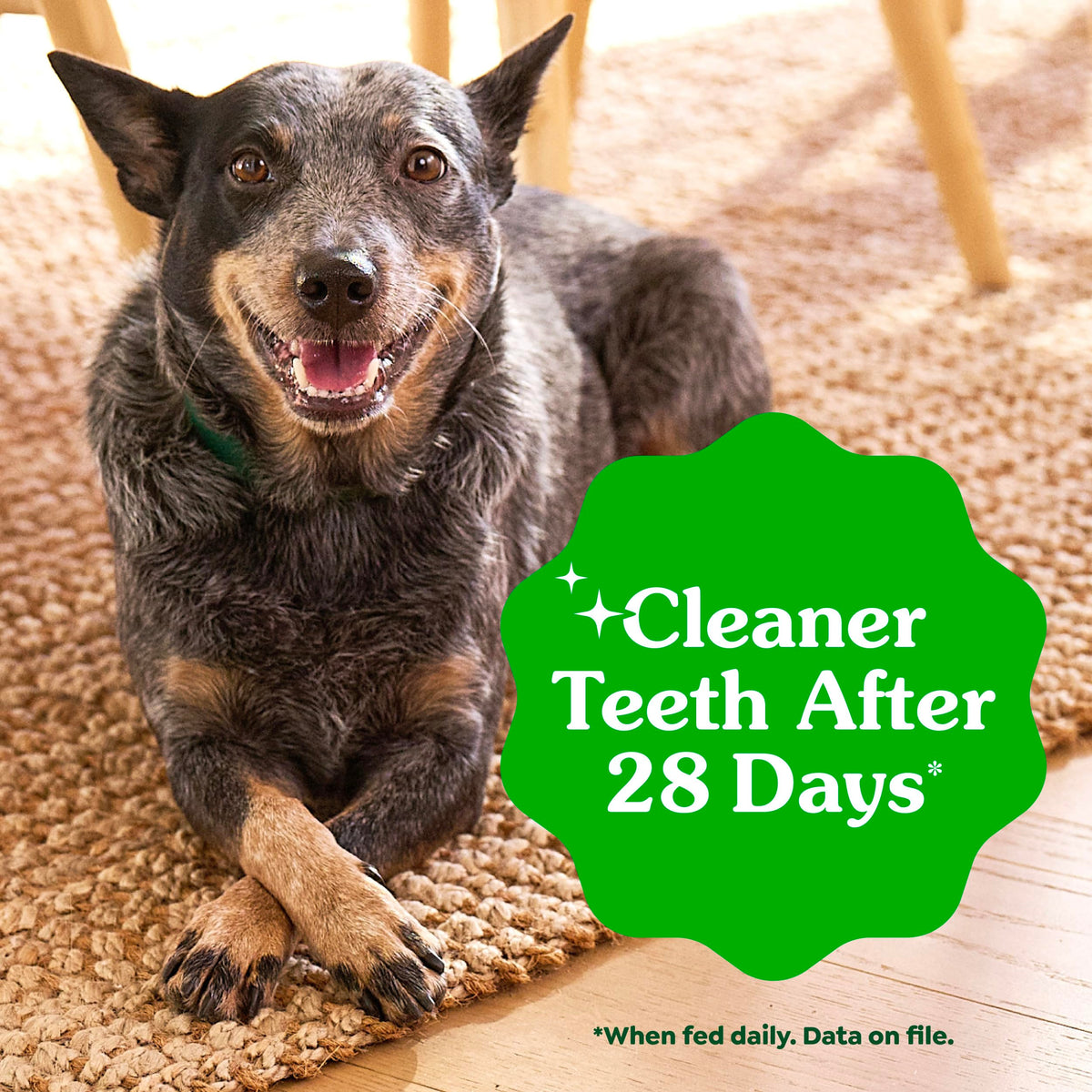 Chicken Dental Dog Treats 43 Count P7948